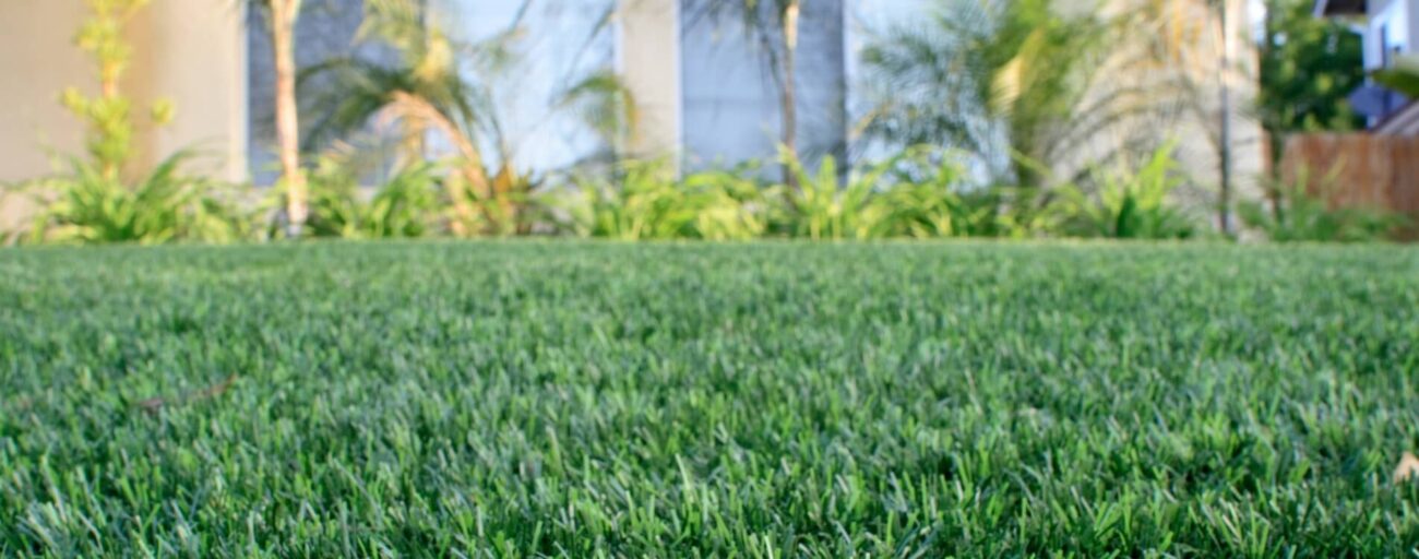 How to choose between synthetic grass and real grass? Read ahead to see 5 reasons why we think synthetic grass is more popular.